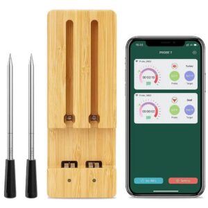 FM205 Dual termometar