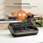 WiFi & Bluetooth termometar za meso INT‑12‑BW